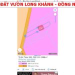 Tính chất