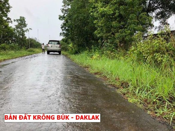BÁN ĐẤT MẶT TIỀN NHỰA KRÔNG BUK, ĐẮK LẮK – CHỈ 499 TRIỆU, QUY HOẠCH ĐẤT Ở 100%