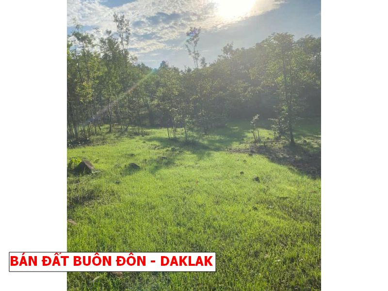 Buôn Đôn – Daklak bán gấp lô vườn rẻ hơn giá nhà nước