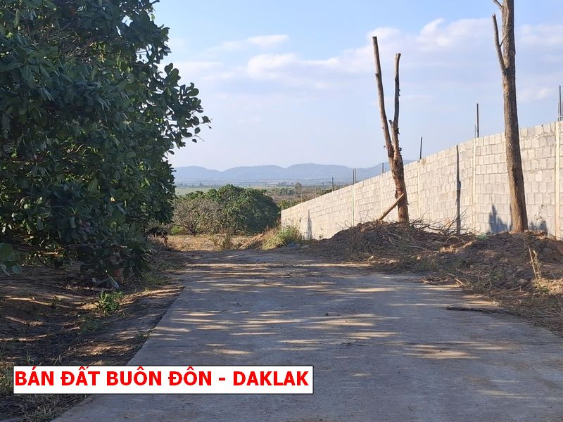 Buôn Đôn – Daklak bán gấp lô vườn rẻ hơn giá nhà nước