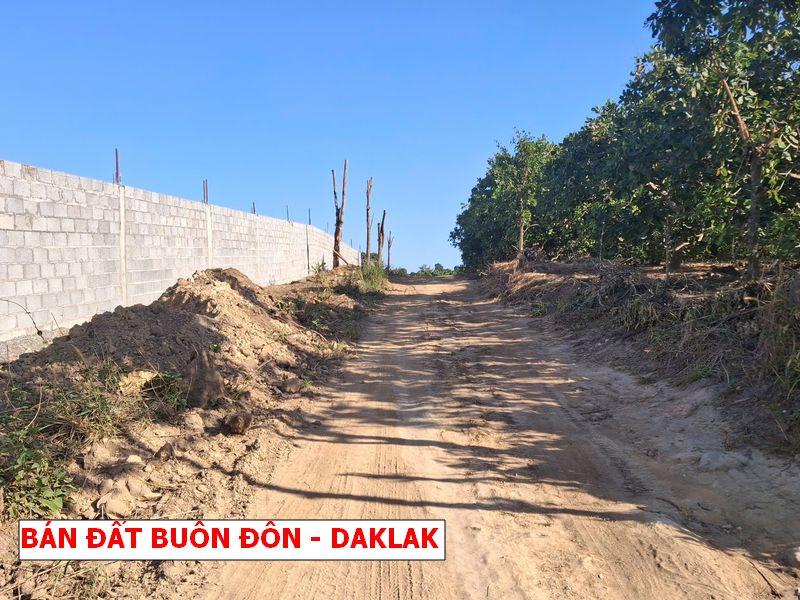 Buôn Đôn – Daklak bán gấp lô vườn rẻ hơn giá nhà nước