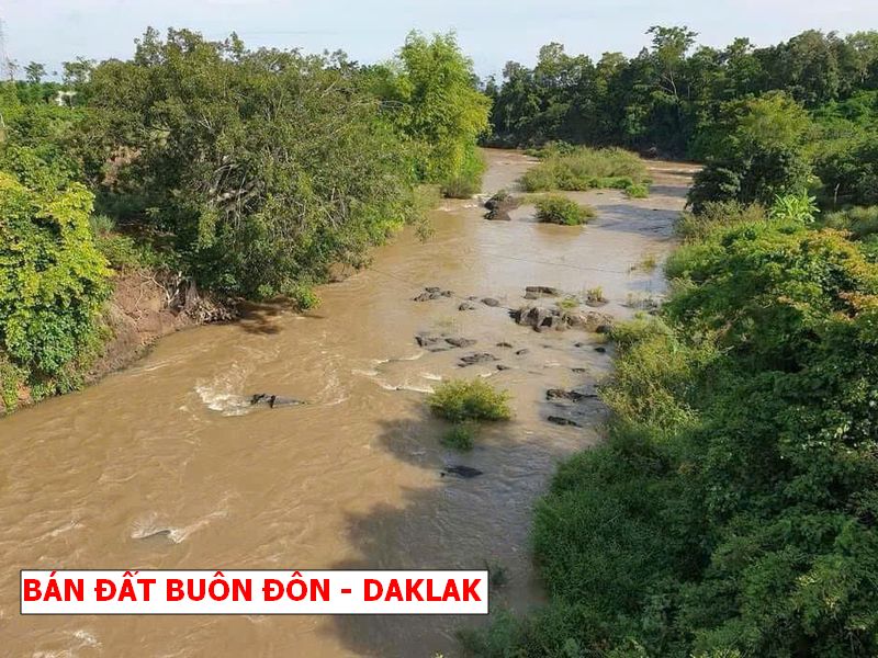 Buôn Đôn – Daklak bán gấp lô vườn rẻ hơn giá nhà nước
