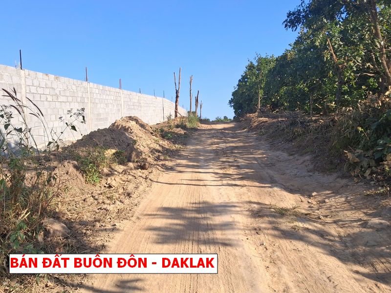 Buôn Đôn – Daklak bán gấp lô vườn rẻ hơn giá nhà nước