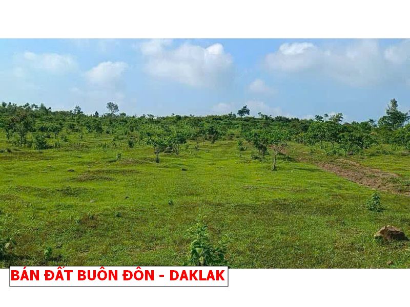 Buôn Đôn – Daklak bán gấp lô vườn rẻ hơn giá nhà nước