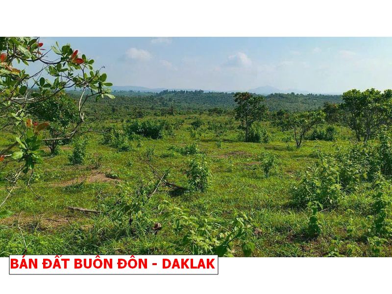 Buôn Đôn – Daklak bán gấp lô vườn rẻ hơn giá nhà nước