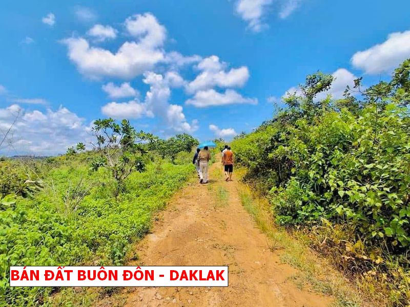 Buôn Đôn – Daklak bán gấp lô vườn rẻ hơn giá nhà nước