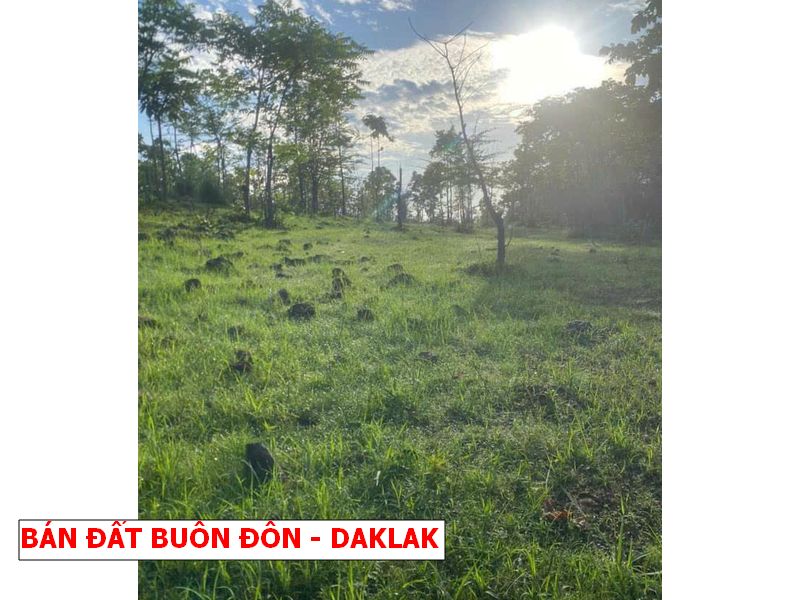 Buôn Đôn – Daklak bán gấp lô vườn rẻ hơn giá nhà nước