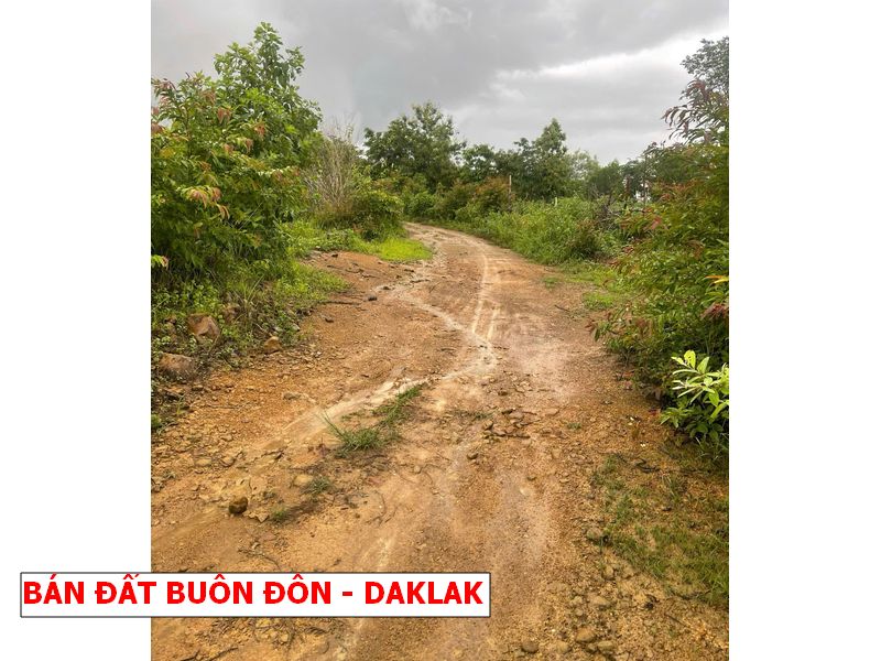 Buôn Đôn – Daklak bán gấp lô vườn rẻ hơn giá nhà nước