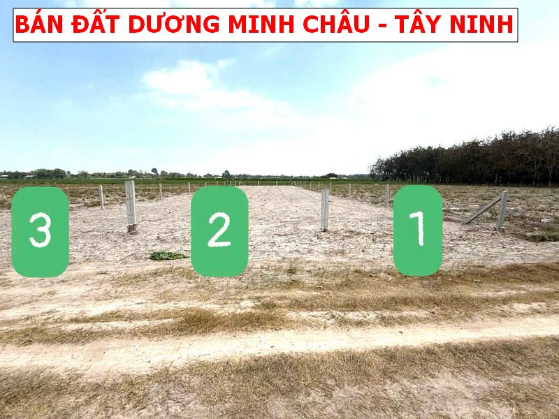 Bán đất Dương Minh Châu – Tây Ninh giá chỉ 288tr/ lô