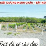 Tính chất