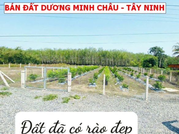 Bán Đất 2 Mặt Tiền Lộc Ninh, Dương Minh Châu – 1045m², 400m² Thổ Cư, Đường Lớn, Giá Chỉ 1 Tỷ 7