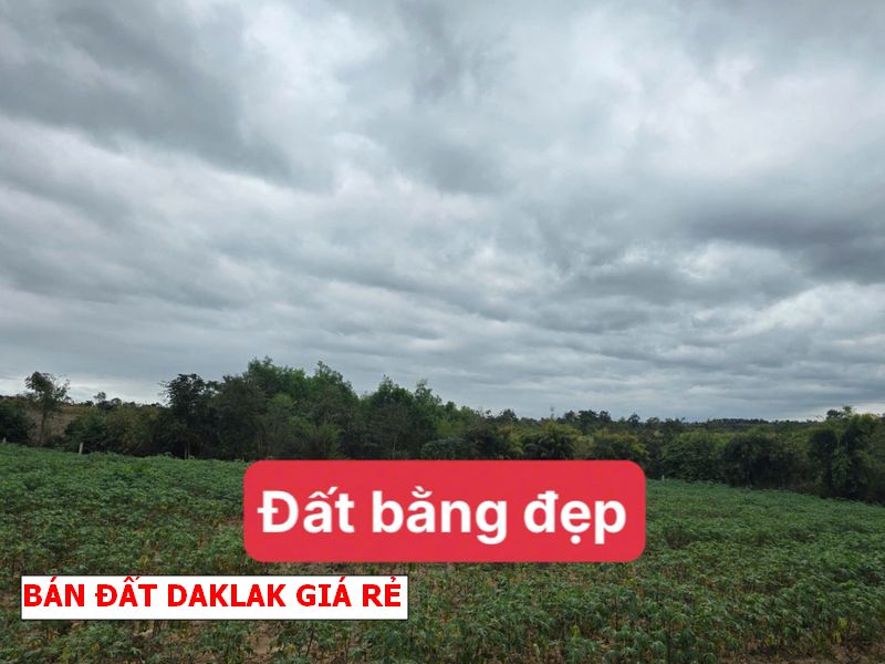 Chỉ 99tr sở hữu lô đất 1000m2 tại Cưmga – Daklak