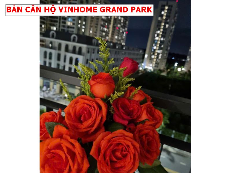 Ngộp Bank bán lỗ 200tr căn hộ tại Vinhome Grand Park quận 9