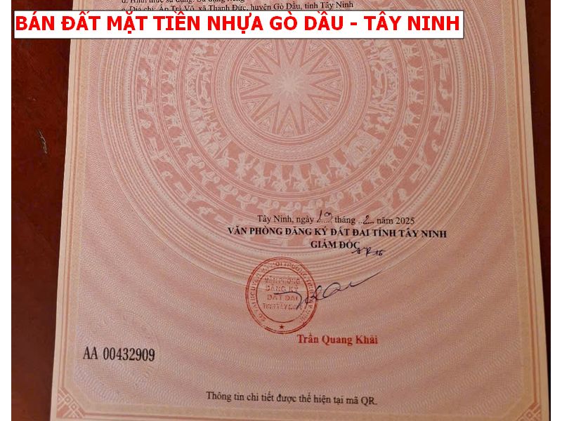 Bán đất mặt tiền nhựa tiện kinh doanh tại Gò Dầu – Tây Ninh giá chỉ 450tr