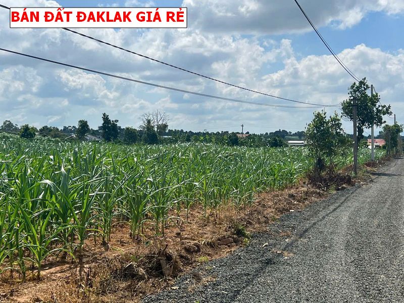 Bán đất Daklak – Eakar giá rẻ