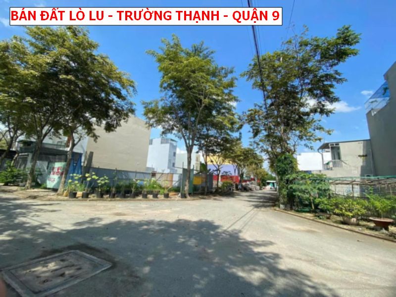 Bán đất hẻm 230 Lò Lu, Trường Thạnh, Quận 9