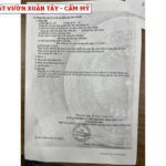 Bán đất vườn Xuân Tây - Cẩm Mỹ , 2000m2 có 100 thổ cư đường betong đẹp