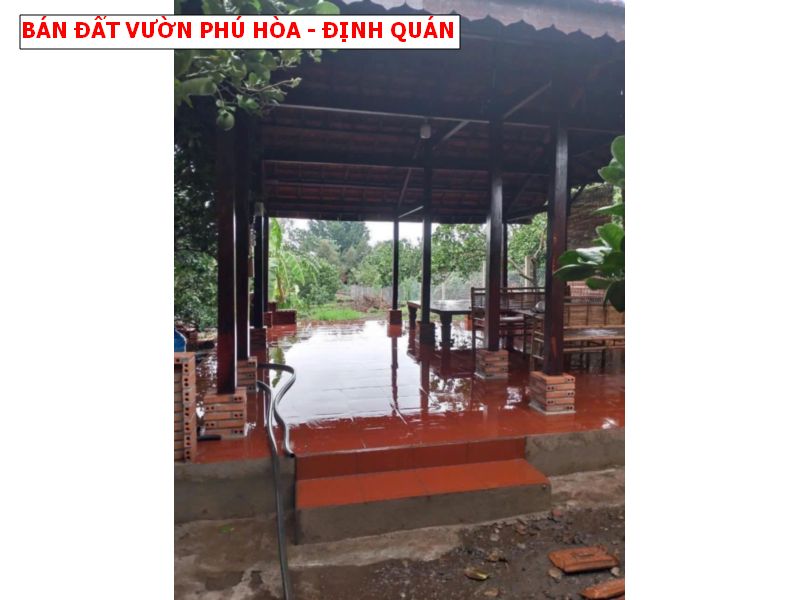 Bán vườn bưởi Phú Hòa, Định Quán giá rẻ