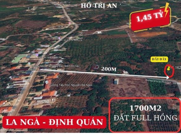 Bán đất vườn La Ngà Định Quán, lô vườn nhãn xinh đẹp giá rẻ
