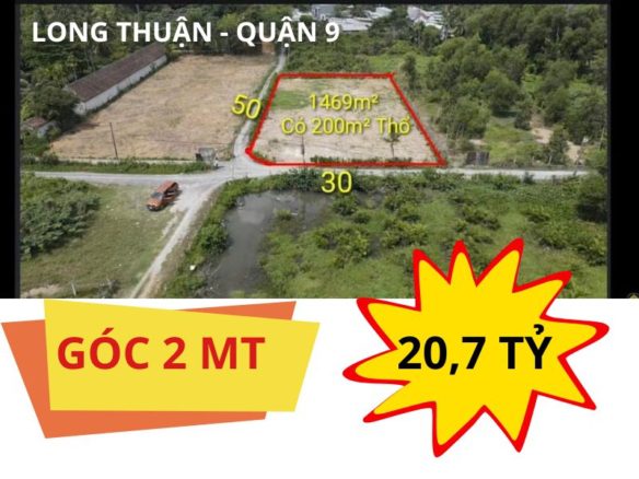 Bán đất vườn Long Thuận – Long Phước quận 9, tiện xây nhà vườn nghỉ dưỡng
