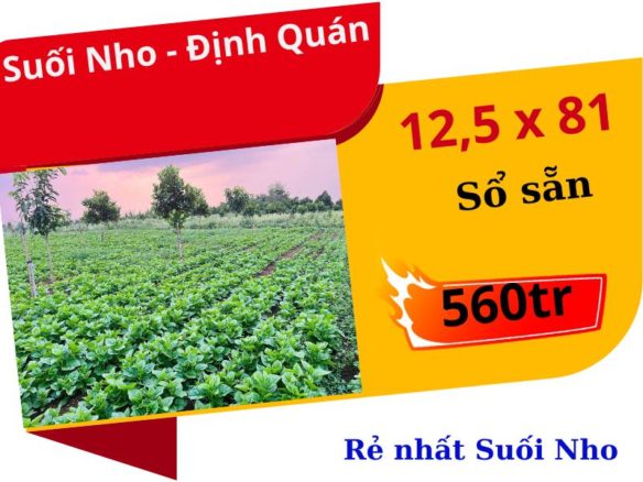 Bán gấp đất vườn Định Quán giá rẻ, ngay chợ Suối Nho, Định Quán, gần Nút cao tốc