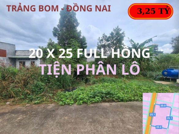 Bán đất Trảng Bom – Đồng Nai, 500m2 full hồng, tiện phân lô