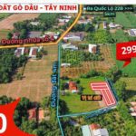 Bán đất Gò Dầu- Tây Ninh full thổ cư giá chỉ từ 299tr