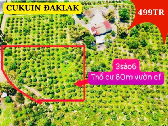 Bán đất Culuin Đaklak giá siêu tốt, 3600m2 có thổ cư giá chỉ 499tr