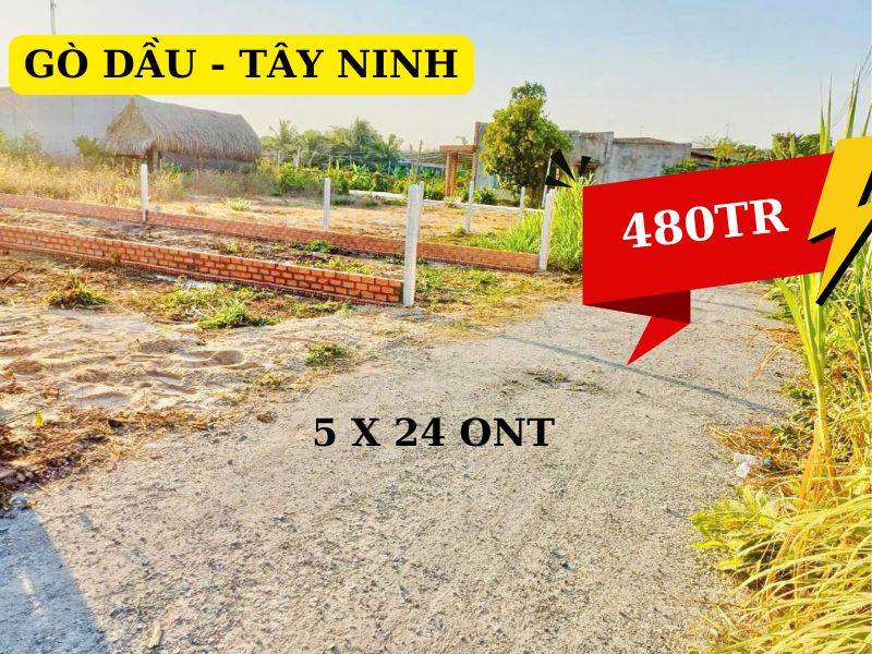 Bán đất Bàu Đồn- Gò Dầu – Tây Ninh, gần khu công nghiệp Phước Đông