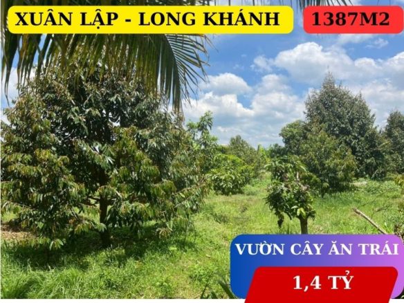 bán đất vườn Long Khánh, trên đất có cây ăn trái, giá chỉ 1,4 tỷ