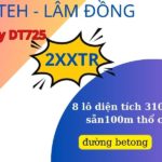 Tính chất