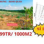 Đất vườn Túc Trung - Định Quán, lốc 9 lô giá chỉ 4xxtr/ lô