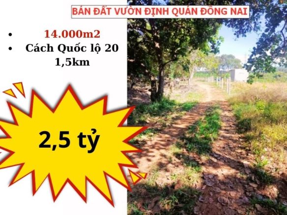 Bán đất vườn La Ngà – Định Quán, 14000m2 giá chỉ 2,5 tỷ – giá ngộp bán gấp