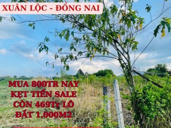 Bán gấp đất Suối Cao – Xuân Lộc -Đồng Nai 1000m2 giá chỉ 469tr