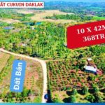 Bán đất tại EaHu Cukuin Daklak - 10 x42 có thổ cư giá 368tr