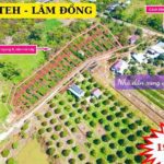 Bán đất Mỹ Đức - Dateh - Lâm Đồng giá chỉ 199tr/ lô