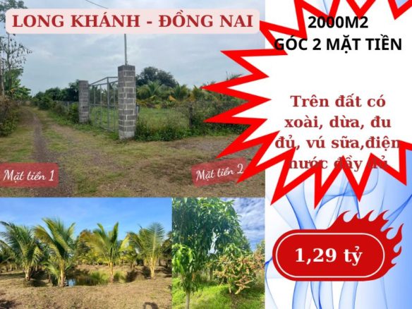 Bán đất vườn Bảo Quang – Long Khánh giá rẻ, 2000m2, 2 mặt tiền đường thực tế