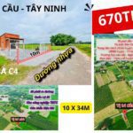 Tính chất