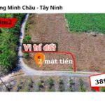 Tính chất