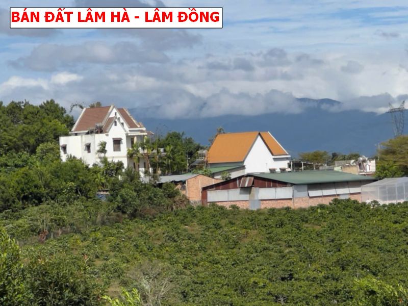Bán đất Lâm Hà – Lâm Đồng, siêu phẩm săn mây giá tốt