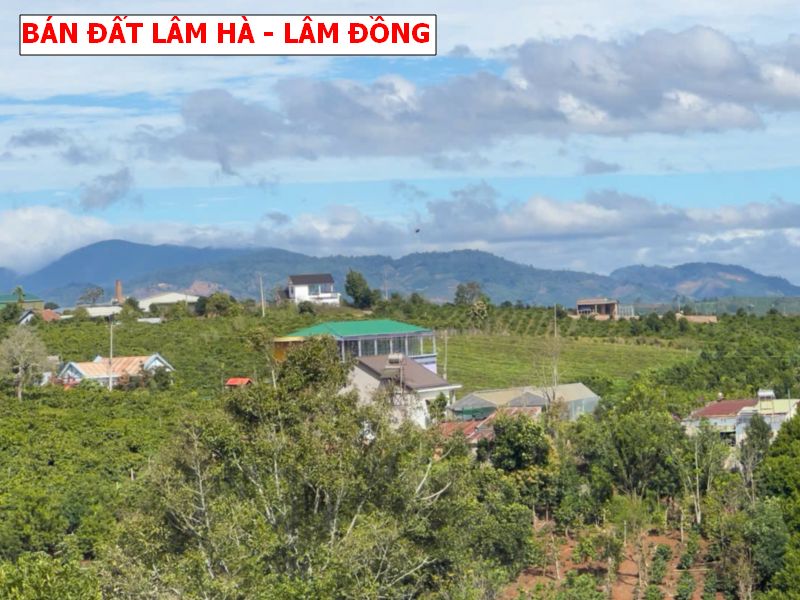 Bán đất Lâm Hà – Lâm Đồng, siêu phẩm săn mây giá tốt