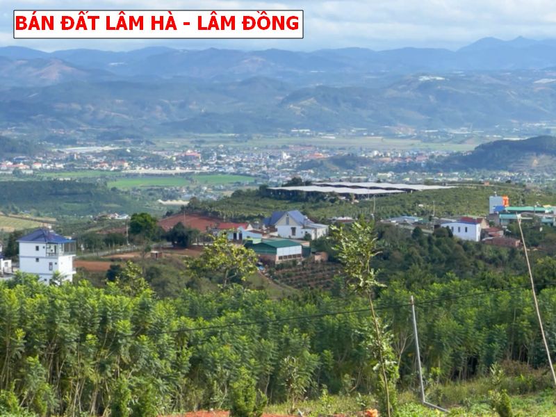 Bán đất Lâm Hà – Lâm Đồng, siêu phẩm săn mây giá tốt