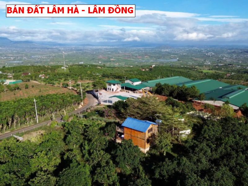 Bán đất Lâm Hà – Lâm Đồng, siêu phẩm săn mây giá tốt
