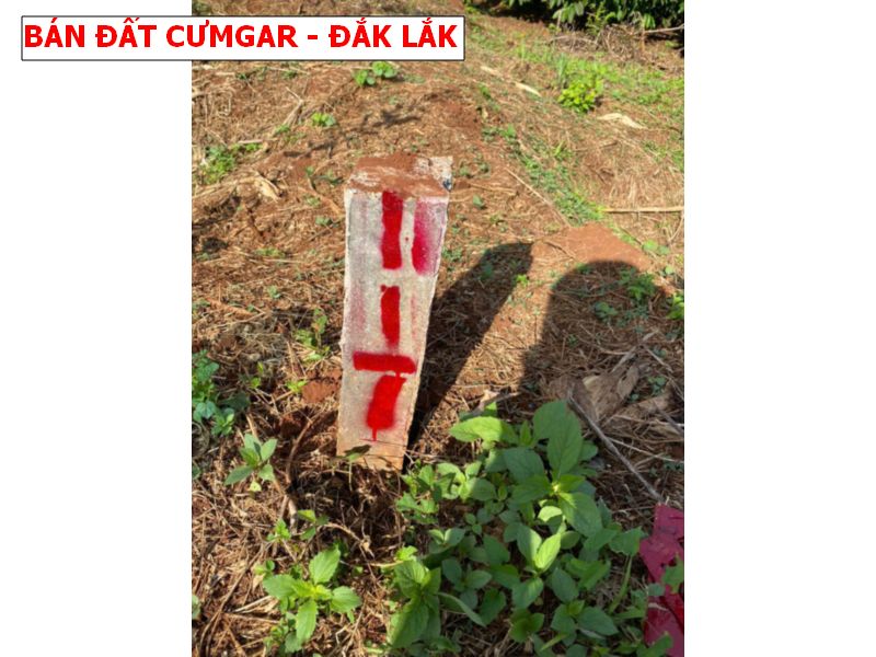Bán đất Cumgar DakLak giá rẻ, chỉ 119tr cho 1 lô đất 500m2