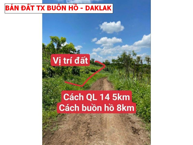 Bán đất thị xã Buôn Hồ – Daklak giá chỉ 159tr/ lô