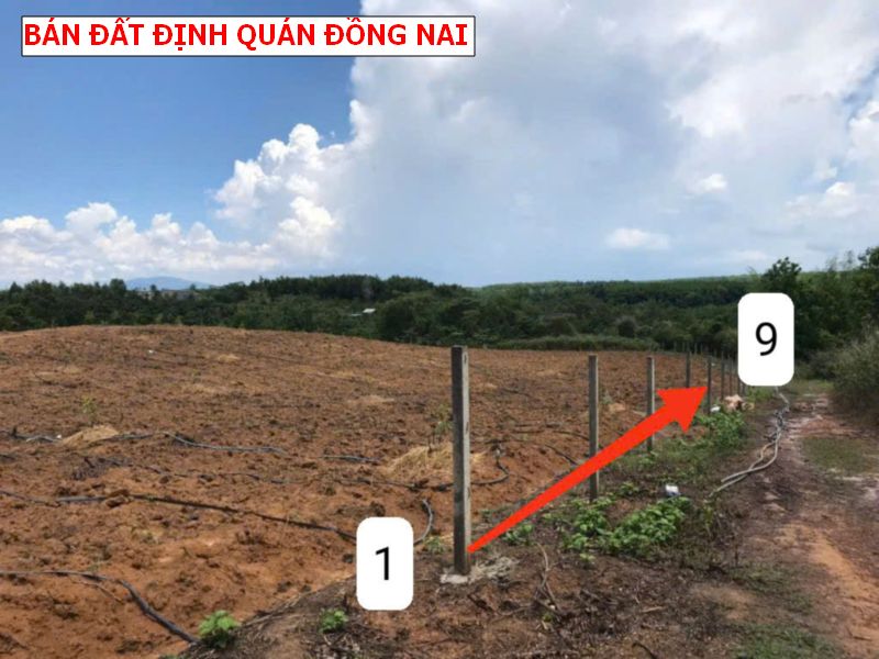 Đất vườn Túc Trung – Định Quán, lốc 9 lô giá chỉ 4xxtr/ lô