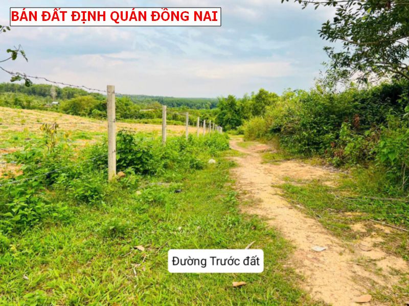 Đất vườn Túc Trung – Định Quán, lốc 9 lô giá chỉ 4xxtr/ lô