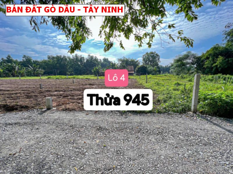Bán đất Gò Dầu- Tây Ninh full thổ cư giá chỉ từ 299tr