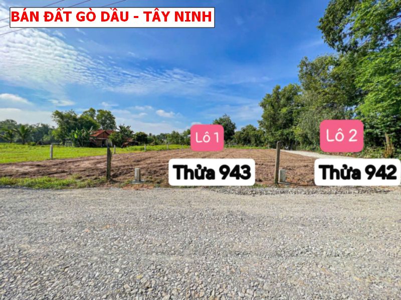 Bán đất Gò Dầu- Tây Ninh full thổ cư giá chỉ từ 299tr