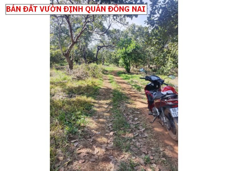 Bán đất vườn La Ngà – Định Quán, 14000m2 giá chỉ 2,5 tỷ – giá ngộp bán gấp